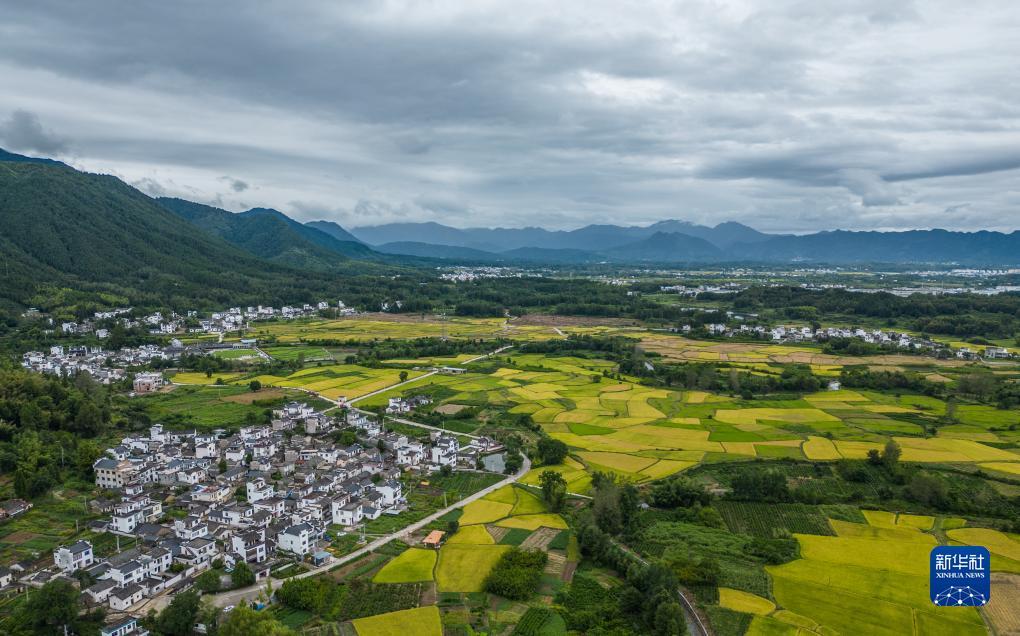 星鱼平台注册